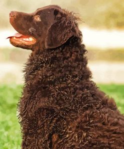 Curly Dog Diamond Painting