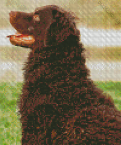 Curly Dog Diamond Painting