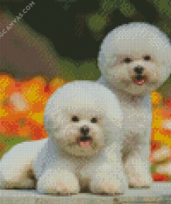 Cute Bichon Puppies Diamond Painting