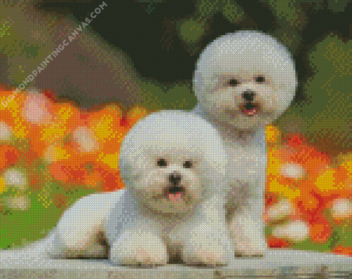 Cute Bichon Puppies Diamond Painting