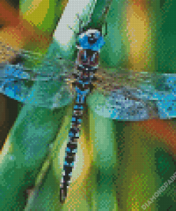 Black And Blue Dragonfly Diamond Painting