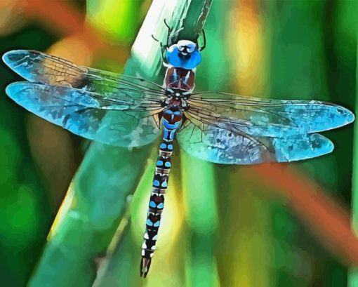 Black And Blue Dragonfly Diamond Painting