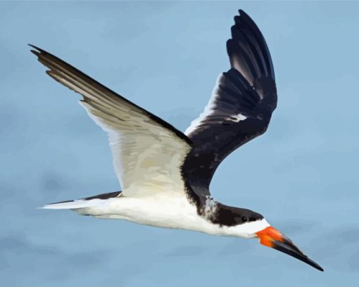 Flying Black Skimmer Diamond Painting