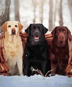 Golden Retriever In Snow Diamond Painting