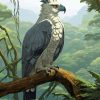 Harpy Eagle Diamond Painting