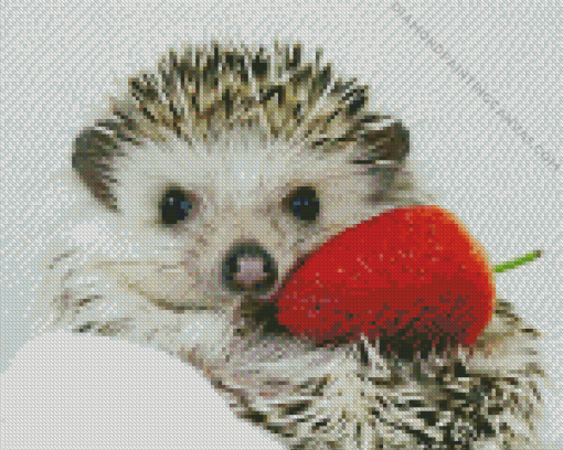 Hedgehog And Strawberries Diamond Painting