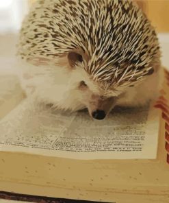 Hedgehog Reading A Book Diamond Painting