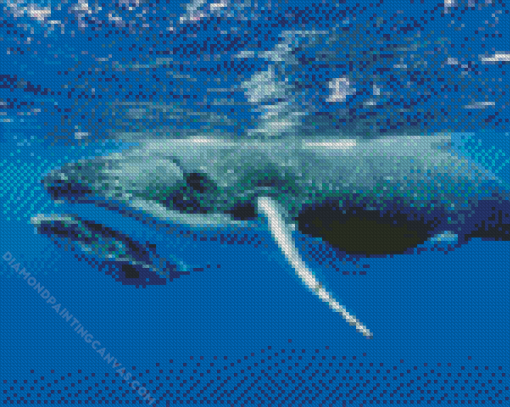 Humpback Whale Diamond Painting