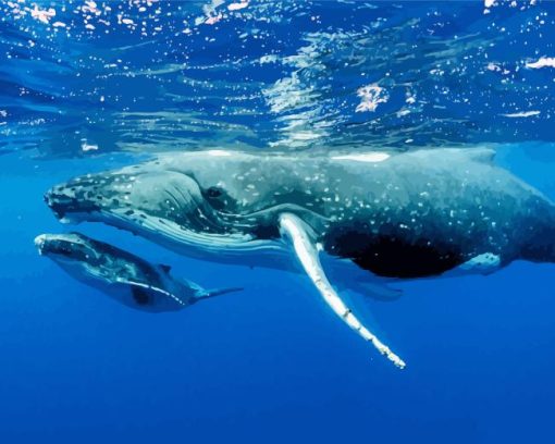 Humpback Whale Diamond Painting