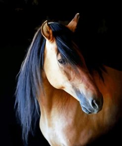 Kiger Mustang Diamond Painting