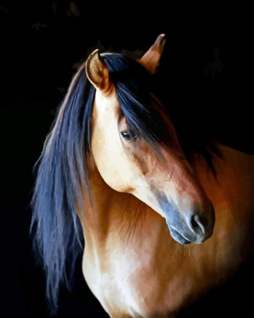 Kiger Mustang Diamond Painting