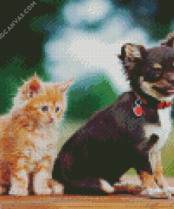 Kitten And Chihuahua Diamond Painting