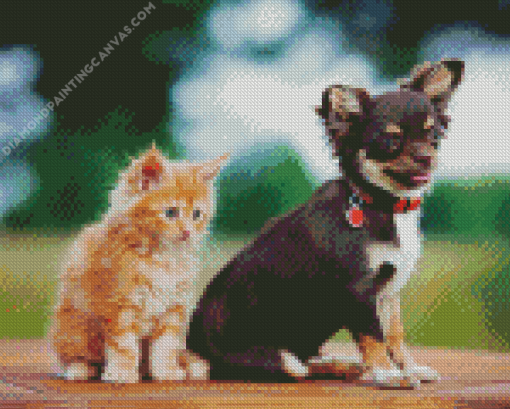 Kitten And Chihuahua Diamond Painting