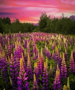 Lupines Purple Flowers Field Diamond Painting