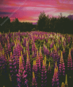 Lupines Purple Flowers Field Diamond Painting