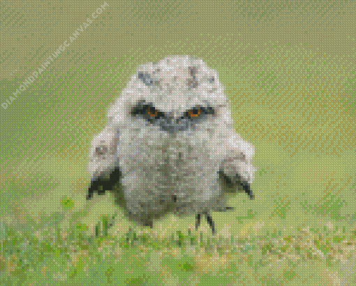 Mad Frogmouth Bird Diamond Painting