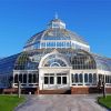 Palm House In Sefton Park Diamond Painting