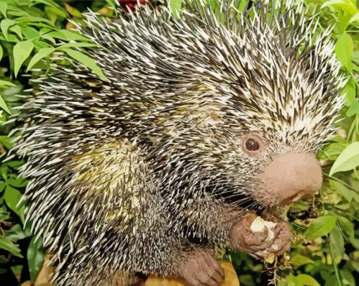 Prehensile Brazilian Porcupine Diamond Painting