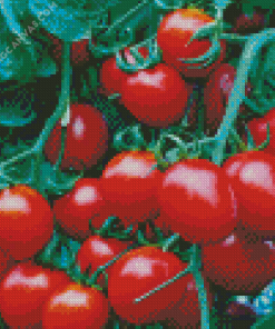 Red Tomato Plant Diamond Painting