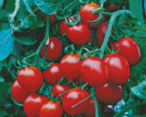 Red Tomato Plant Diamond Painting