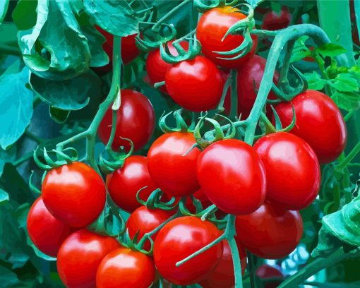 Red Tomato Plant Diamond Painting