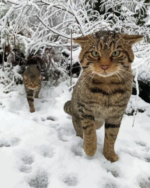 Scottish Wildcats Diamond Painting