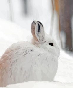 Snowshoe Hare Diamond Painting