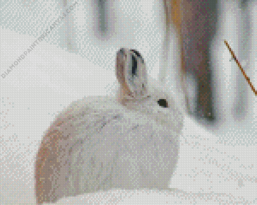 Snowshoe Hare Diamond Painting