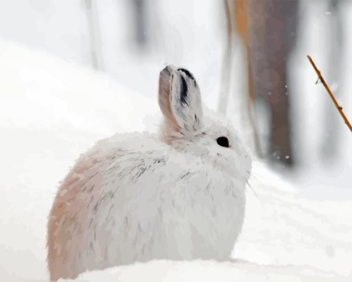 Snowshoe Hare Diamond Painting