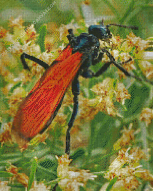 Tarantula Hawk Diamond Painting