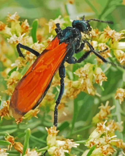 Tarantula Hawk Diamond Painting