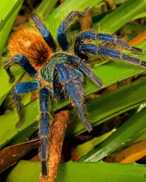 Tarantula On Leaves Diamond Painting