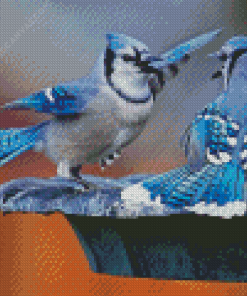 Two Blue Birds Diamond Painting