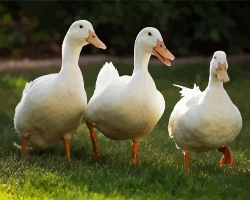 White Pekin Ducks Diamond Painting