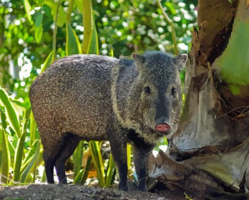 Wild Peccary Animal Diamond Painting