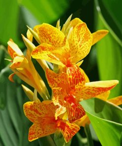 Yellow Canna Lily Diamond Painting