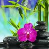 Zen Stones And Orchid Diamond Painting