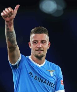 Sergej Milinkovic Savic Diamond Painting