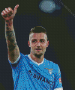 Sergej Milinkovic Savic Diamond Painting