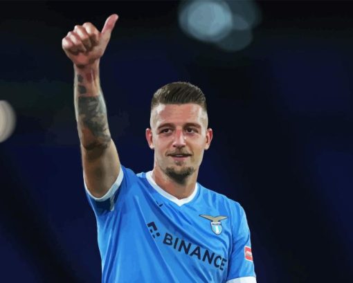 Sergej Milinkovic Savic Diamond Painting